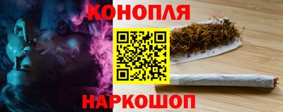 ешки Гатчина