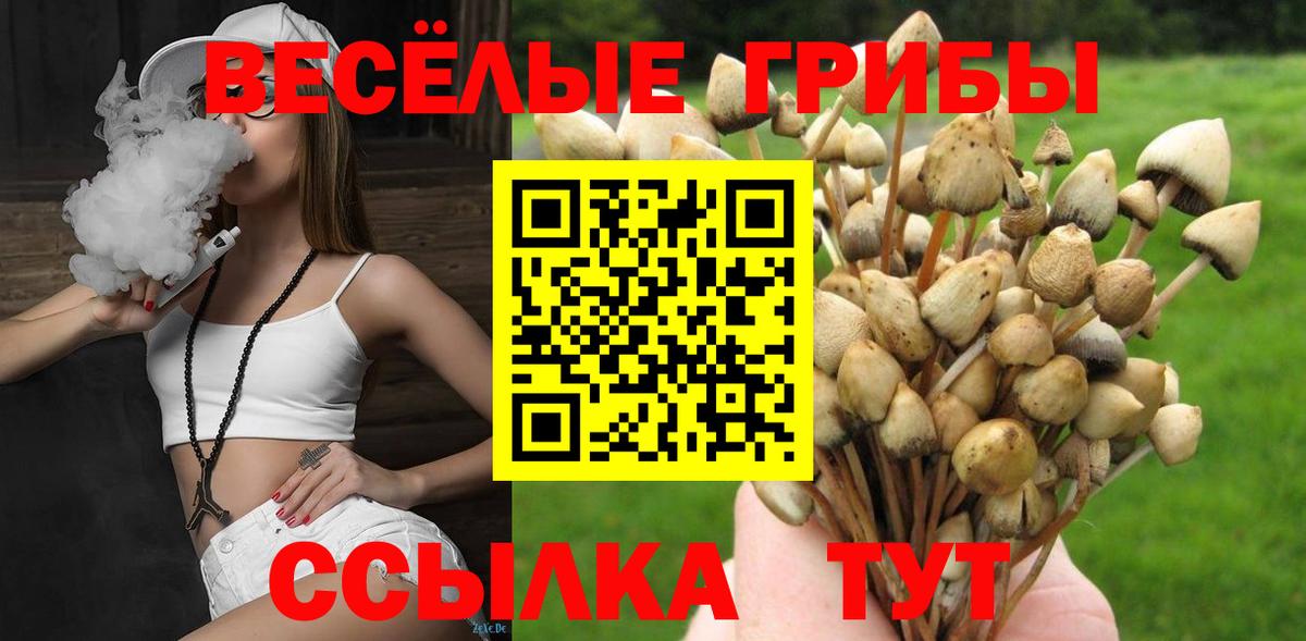 Псилоцибиновые грибы Psilocybine cubensis  Псилоцибиновые грибы GOLDEN TEACHER  Вход с VPN  Можга 